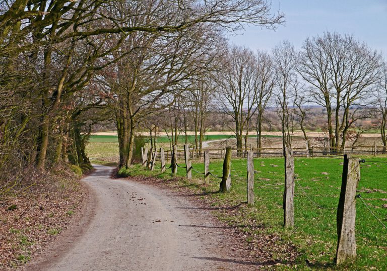 ab 07.01.2025: Wandern durch Feld und Wald – Gruppe 1
