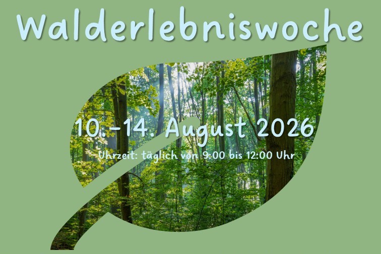 10. – 14.08.2026: Walderlebniswoche